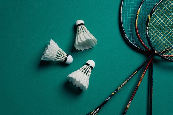 Victor Badminton